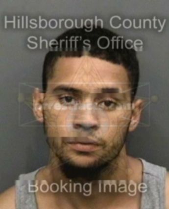 Anthony J Williams