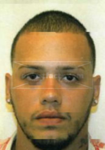 Luis D Mercano