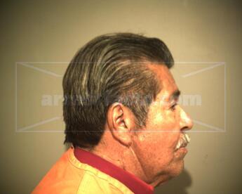 Manuel Ramirez Alanis
