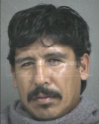 Manuel Ramirez Ibarra