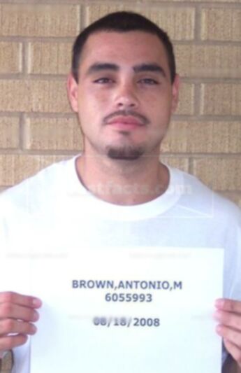 Antonio Muela Brown