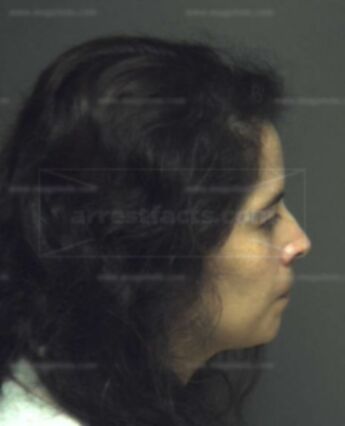 Lisa A Medina