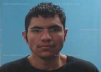 Yoshio Xavier Yerena