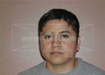 Carlos Rocha
