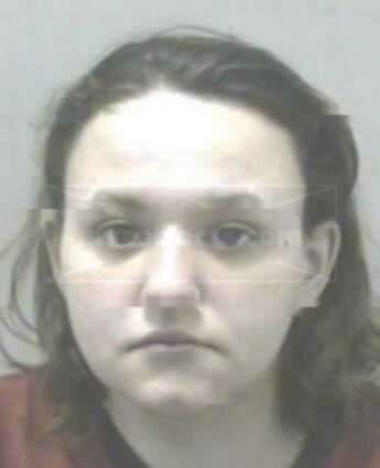 Sarah Ann Holcomb