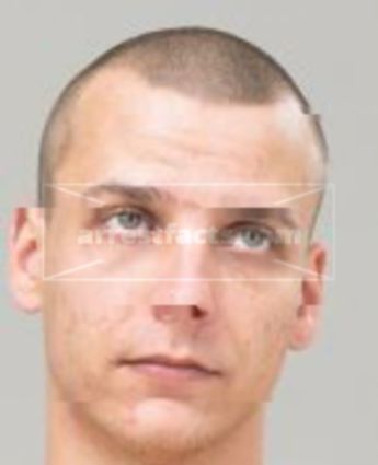 Steven Henry Bassett