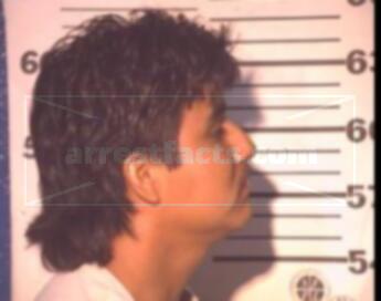 Luis Martinez Loera