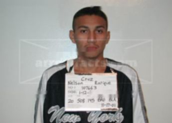 Nelson Enrique Cruz