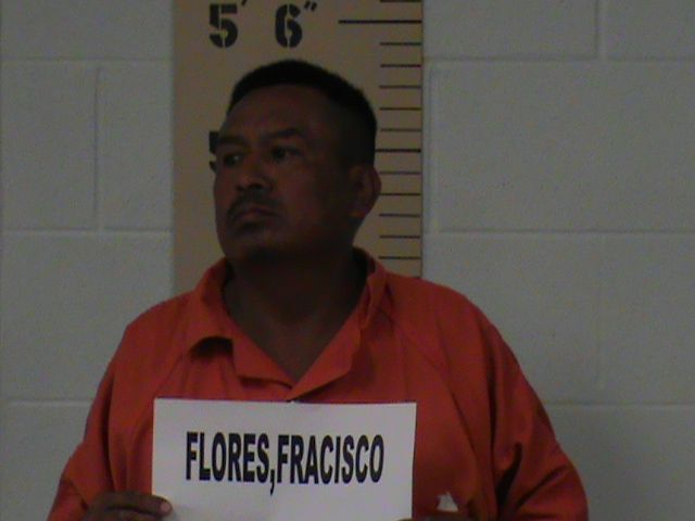 Francisco Roa Flores