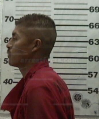 Eliseo Garcia-Morales Jr.