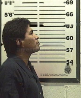 Linden Troy Qualo