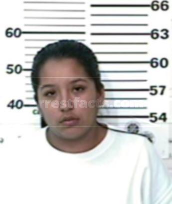 Jennifer Ibarra Viera
