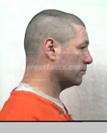 Michael A Whitehead