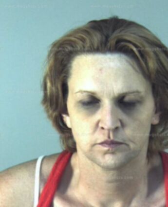 Amy L Chavis