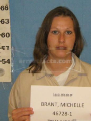 Michelle M Brant