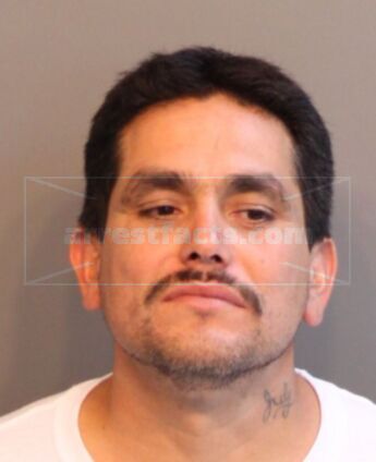 Steve Cantu Bernal