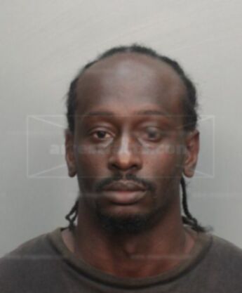 Torreya Bernard Burrows