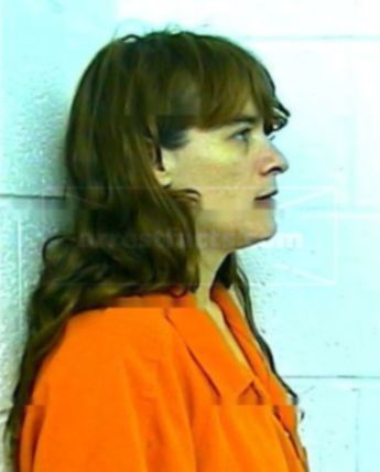 Michelle L Long