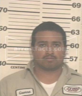 Adan Henry Guerra