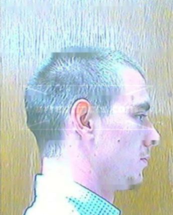 Brian H Bishop