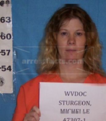Michelle D Sturgeon