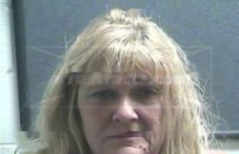 Debra Sue Jarvis