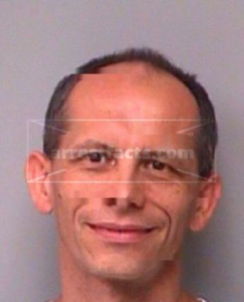 Michael Bergman