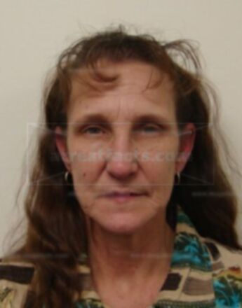 Shannon D Messner