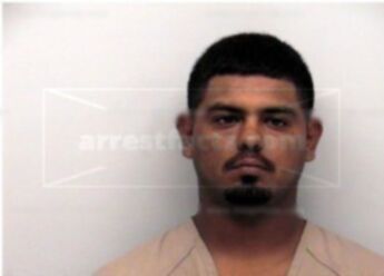 Robert N Estrada
