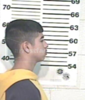 Damian Guerra Suarez