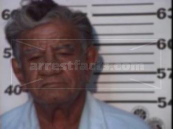 Martin Pena Salinas