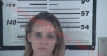 Sara Lee Ann Spicer