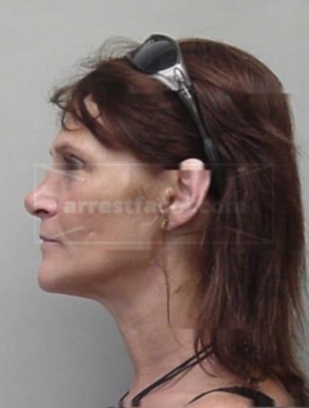 Sherry L Metters