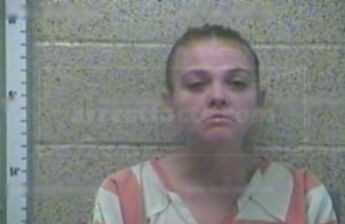 Brandy L Tichenor