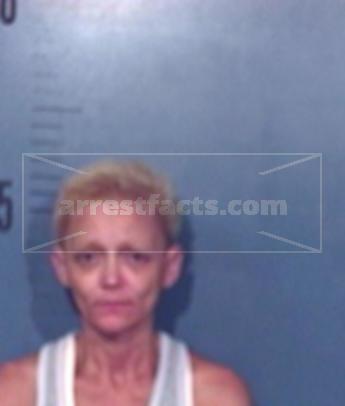 Cynthia Diane Huss