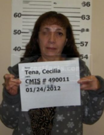 Cecilia Diana Tena
