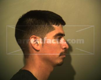 Daniel M Alvarado