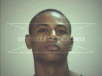David Ray Ellis
