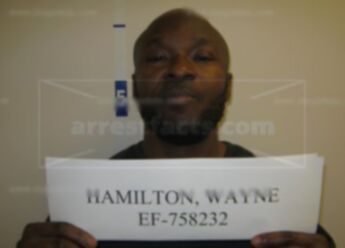 Wayne Demars Hamilton