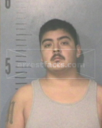 Mario Gerardo Castaneda Jr