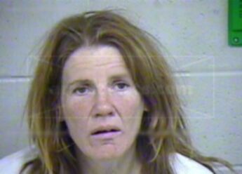 Sandra L Inman