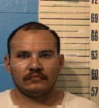 Gabriel Ybarra Paisley