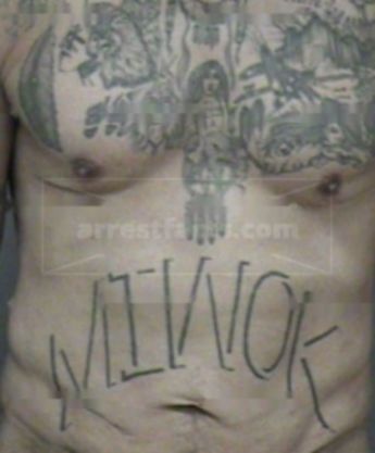 Matthew M Williamson