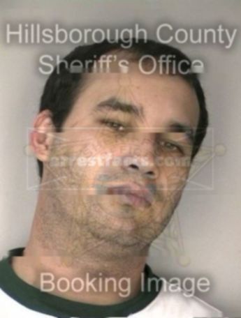 Harold Stephen Williams Ii