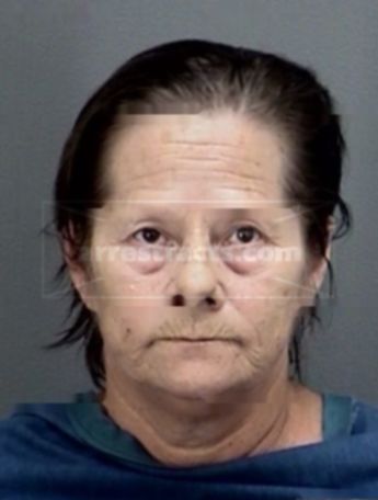 Teresa Ann Hitchcock