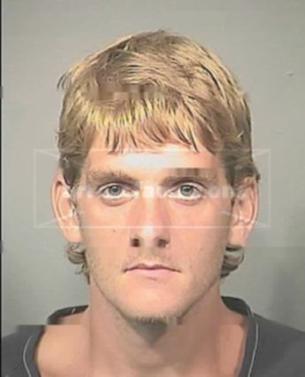 Michael P Perry