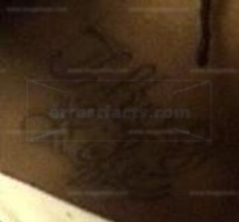 Arabia Sharde Steele