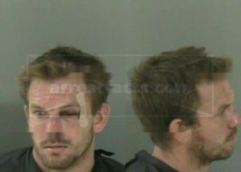 Paul Jarvis Swan