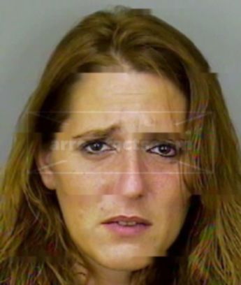 Julie Ann Caplan