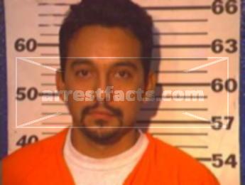 Luis Ernesto Hernandez Carrizalez